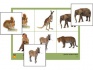 Лото "Дикие животные" (4 планшета, 24 карточки, цвет., ламинированные)