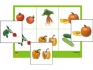 Лото "Овощи" (4 планшета, 24 карточки, цветные, ламинированные)